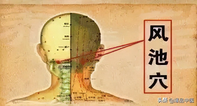 人体10大穴位能治病，按揉关元穴缓解脱发