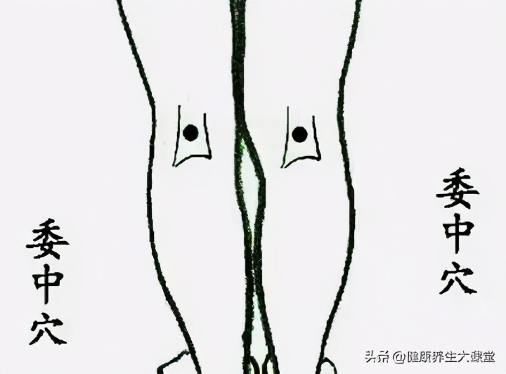 十二个穴道的功能主治