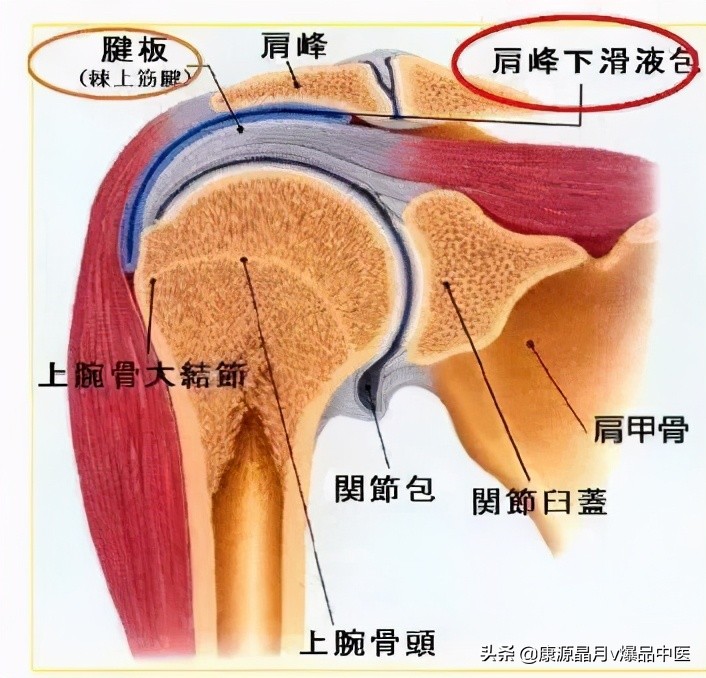 常用关节腔穿刺方法技巧大全