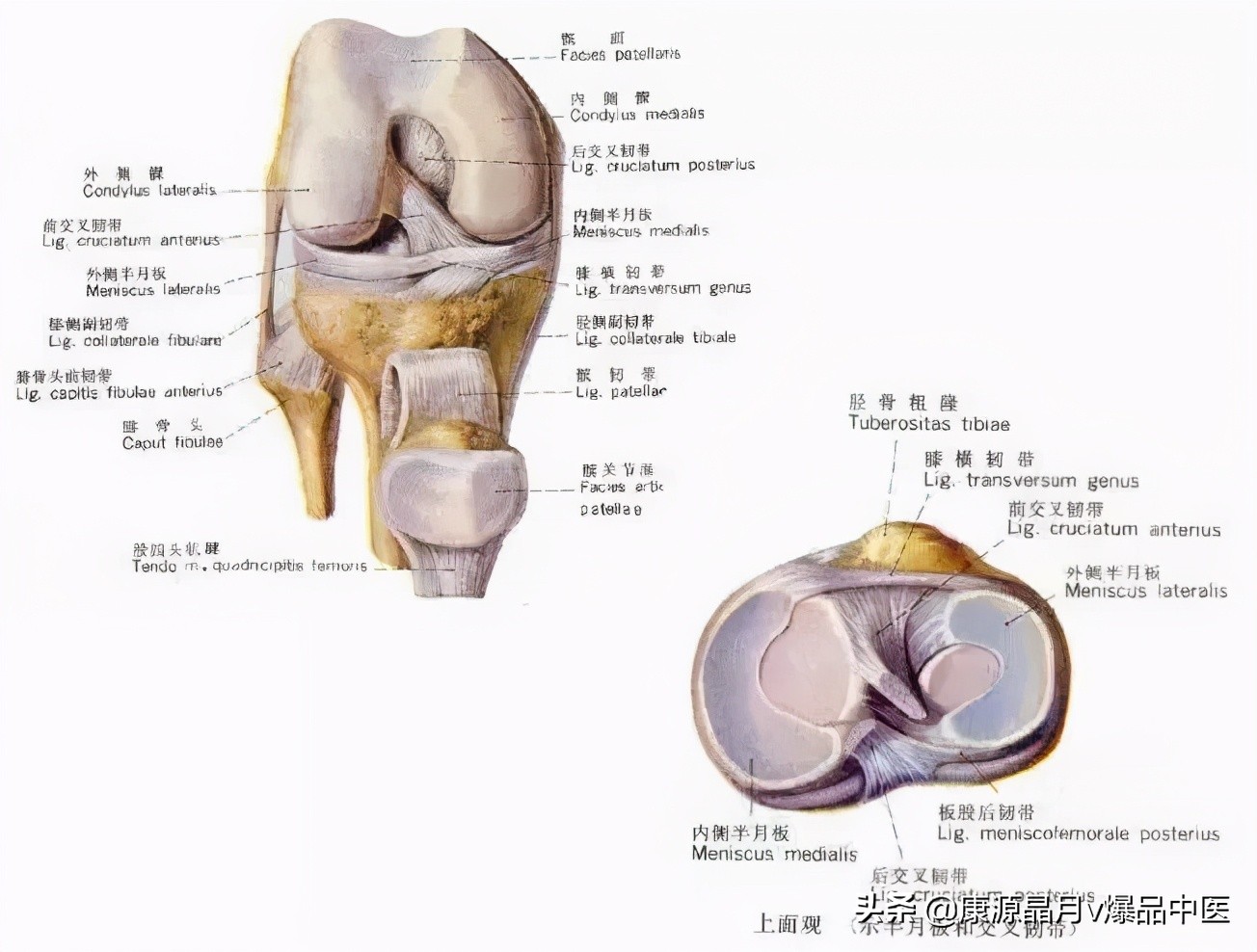 常用关节腔穿刺方法技巧大全