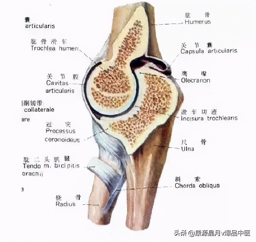 常用关节腔穿刺方法技巧大全