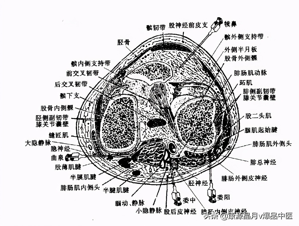 常用关节腔穿刺方法技巧大全