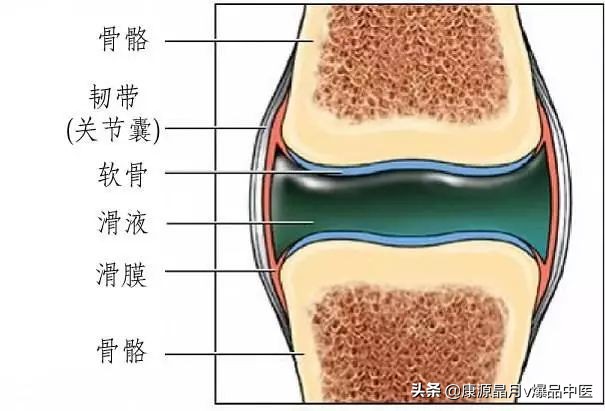 治疗“滑膜炎”的外用验方