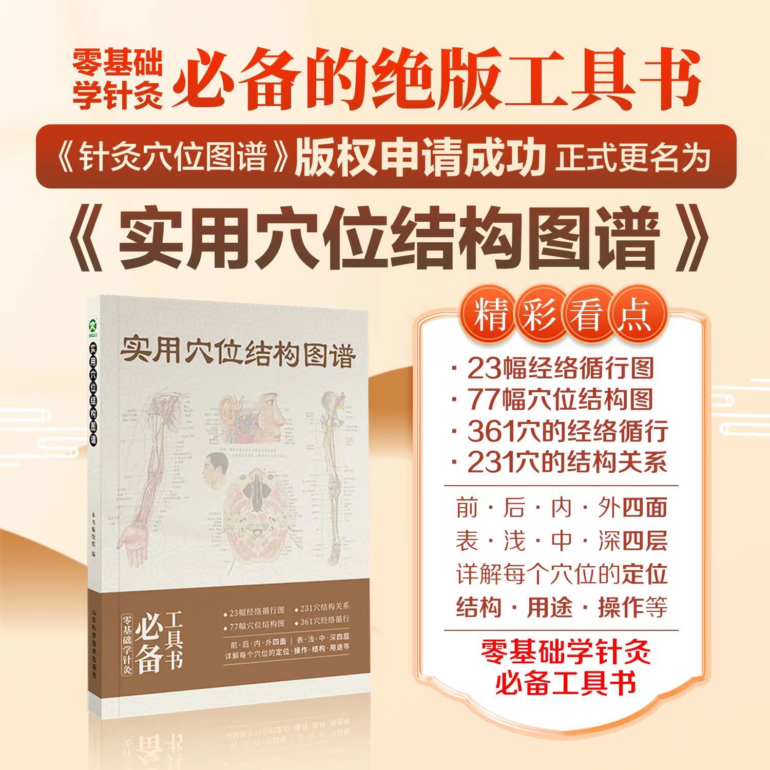 绝版针灸书再现—《实用穴位结构图谱》，详解每个穴位的定位、结构、用途、操作等，零基础学针灸必备工具书