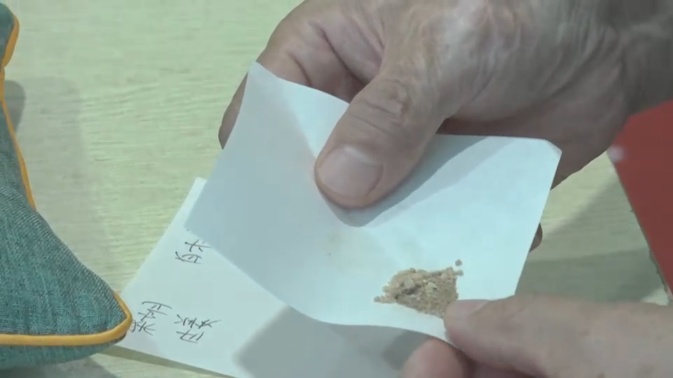 小麦的秘密，原来是这个！